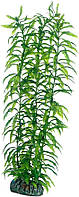 Искусственное растение Гетерантера Hobby Heteranthera 34см (B00DZTU8KA) Витрина 2137
