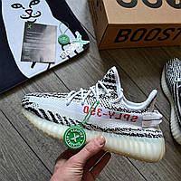 Мужские кроссовки Adidas Yeezy Boost 350 V2 White Zebra Кеды Адидас Изи Буст 350 белые primeknit текстиль лето