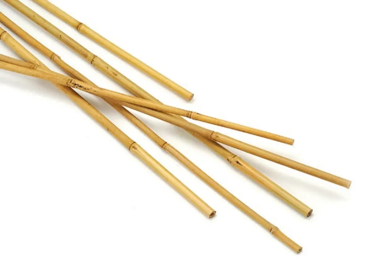 Бамбукова опора 2,44 м, d - 20 - 22 мм
