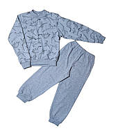 Пижама для мальчика серый дино байка 9007 Маленьке сонечко 104(р)