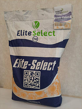 Гібрид Сумо (ЄС Альфа). Соняшник під Гранстар ЄС Альфа 51ц/га. #Семенаесальфа (Еліта Селект). Екстра