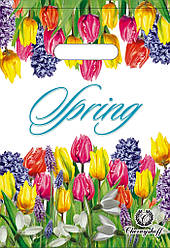 Поліетиленовий пакет із прорізною ручкою 220*300 мм Весняні квіти 50 шт.