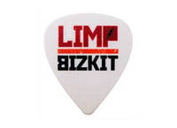 Limp Bizkit медіатор