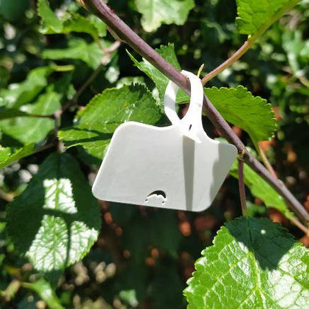 Садові таблички-бірки для маркування рослин (білі) 10 шт, фото 2