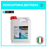 Альгіцид для басейну PG 42. Засіб проти водоростей та зелені у басейні. 5 літрів. Італія