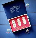 Липолитик Bonafill Slim Line 10ml, фото 3