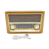 Портативное радио приемник с МР3. Радио с аккумулятор RT-321 Everton