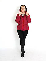 Жіноча куртка від 44 до 50 р-р із плащової тканини на синтепоні утеплена, фото 7