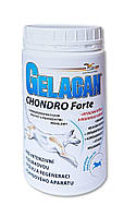 Гелакан Хондро Форте 500 г Gelacan Chondro Forte