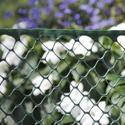Сітка для рослин, 1x5 м, рулон, колір-зелений, 15 мм, шестикутні отвори, фото 2