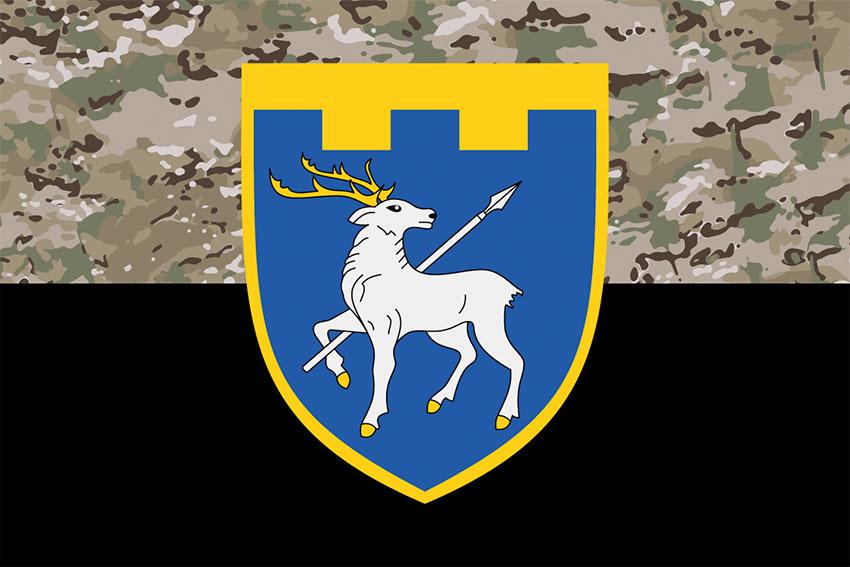 Прапор 123 ОБрТрО ЗСУ камуфляж-чорний