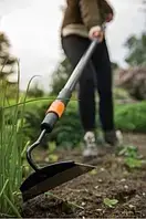 Сапи, плоскорізи