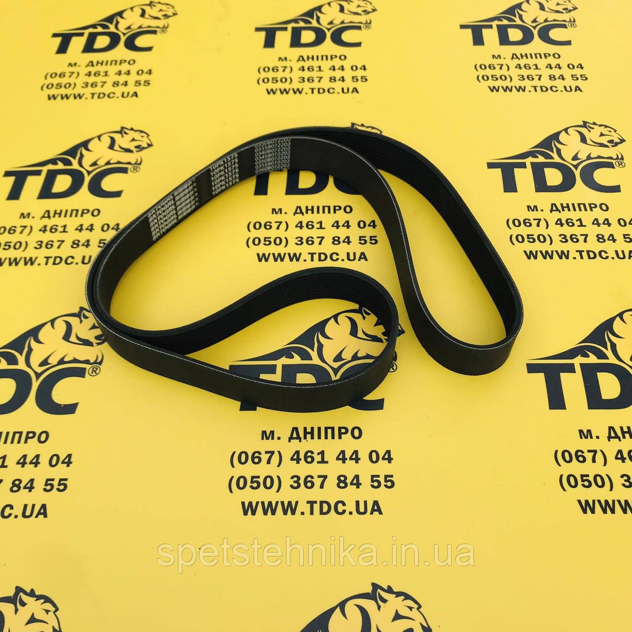 4110002373009 / 13067203 Пас