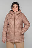 Жіноча демісезонна подовжена куртка Торі пудра, розміри 52,54,60, фото 2