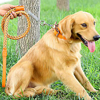 Комплект поводок косичка +ошейник плетенный для собак №3 (120см*43-55см), желтый
