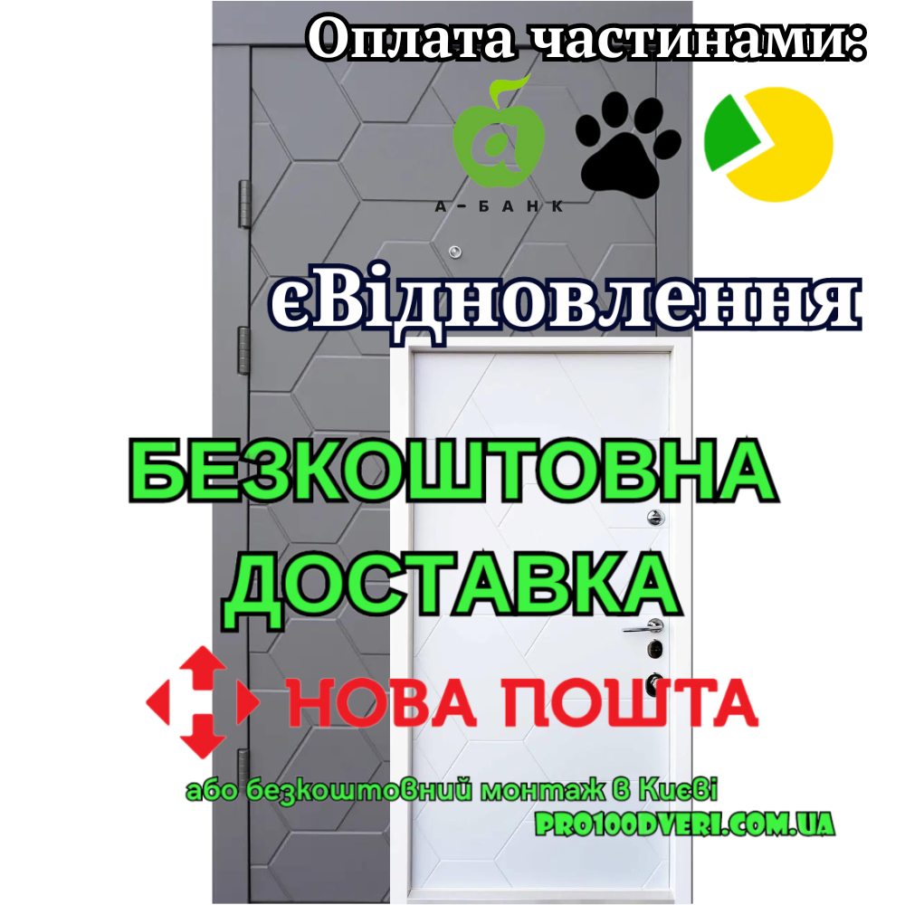 Вхідні двері Авангард Поло Qdoors, фото 1