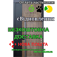 Входные двери Авангард Франк-М Qdoors