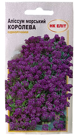 Насіння аліссум морський Королева, НК-ЕЛІТ, 0.2 г, фото 1