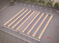 Фітолампа для рослин/гроубокса повного спектра Led Grow Light C+ 800W (ручний дімінг)