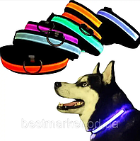 Ошейник для Собак с Подсветкой и Зарядкой от USB Animals (Glow Ring)