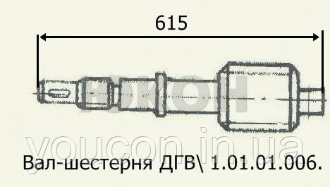 Вал-шестерня ДГВ 1.01.01.006