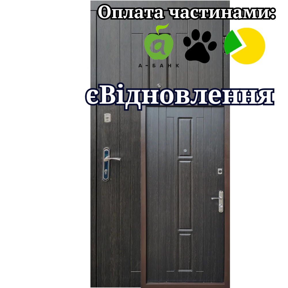Вхідні двері Трояна Економ ФОРТ, фото 1