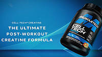 Нова формула Cell Tech, Research-Backed Creatine + Carb Musclebuilder 1360g (Tropical Citrus Punch) від бренду   MuscleTech - США купуй на сайті extrifit.com.ua