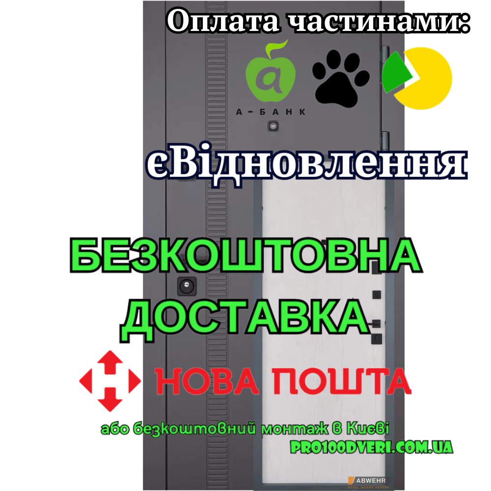 Вхідні двері модель 509/0 Rail CLASSIK, ABWEHR