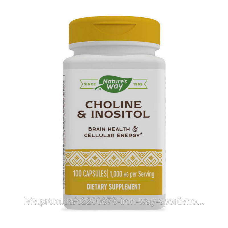 Nature's Way Choline & Inositol (100 caps), фото 1