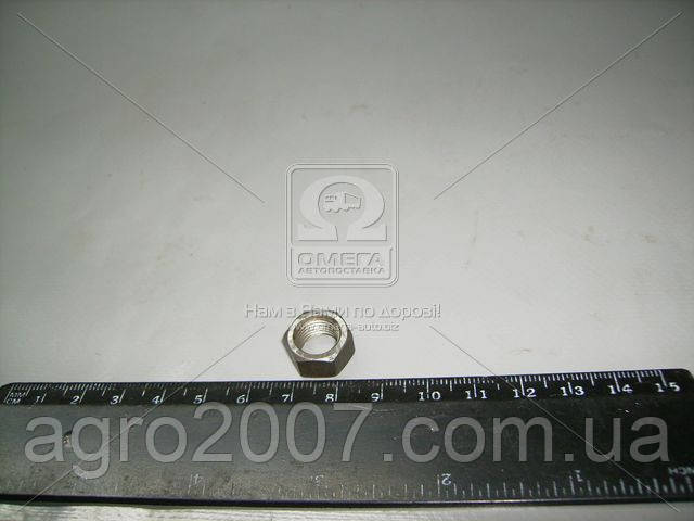 Гайка гвинта регулювального коромисла МТЗ Д240 Д02-063