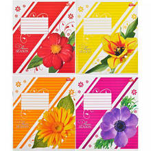 Зошит кольоровий 12 листів, лінія "2544" D MZOPT