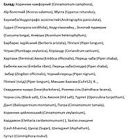 Чандрапрабха Ваті Патанджали (Chandraprabha Vatanti) Patanjali 120 таблеток, фото 3