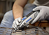 Багатофункціональний гравер Dremel 4250-35 /  5000–35000 об/хв, фото 5