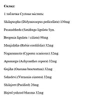 Цистон Cystone Himalaya 60 таблеток, фото 2