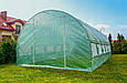 Теплиця  6 х 3 х 2 м Funfit Garden 1483 / 2166 зелена, фото 6