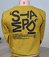 Реглан підліток  "BESSIVA". 13-16 років. Юніор, фото 2