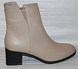 Черевики жіночі на підборі шкіряні від виробника модель ТН23-654, фото 3