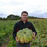 Вест 10 шт насіння гарбуза Lark Seeds США, фото 4
