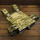 Wotan плитонос Plate Carrier Кочівник MM14, фото 2