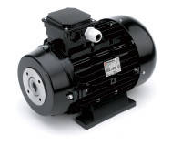 Электромотор однофазный Nicolini & C 4 кВт , 230 V ( без муфты)