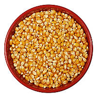 Насіння кукурудзи для попкорну, 1 кг
