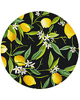 Картина за номерами "Лимонне дерево (Розмір L)", в термопакеті 40см, ТМ Brushme, Україна