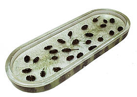 Підставка Ovo з епоксидної смоли з шишками вільхи Проміс-Плюс