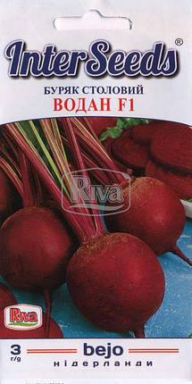 Насіння Буряк ВОДАН F1, 3г, Bejo Zaden B.V., Нідерланди, фото 1