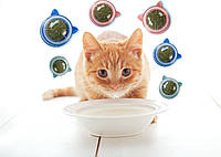 Кошачья конфета. Мятный шарик лизалка. Лакомство для кошек с кошачьей мятой и витаминами