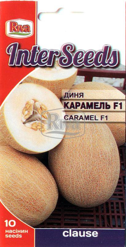 Насіння Диня КАРАМЕЛЬ F1, 10 шт, Clause Tezier, Франція