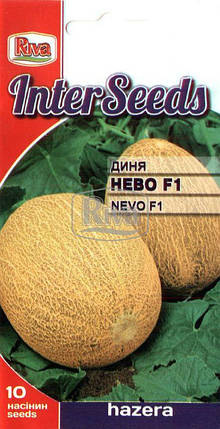 Насіння Диня НЕВО F1, 10 шт, Hazera, Нідерланди, фото 1