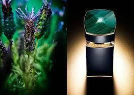 Bvlgari Le Gemme Malakeos парфумована вода 100 ml. (Булгарі Ле Гемме Малакеос), фото 4