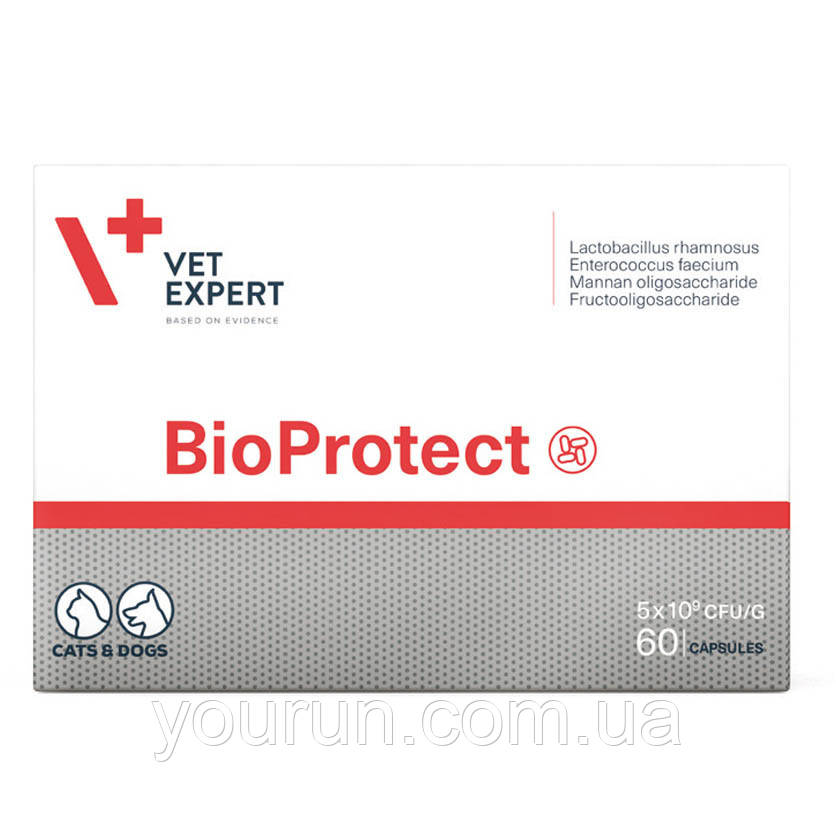 VetExpert BioProtect-Пищевая добавка для кошек и собак с нарушенной желудочно-кишечной микрофлорой 60 капсул - фото 1 - id-p2086558561
