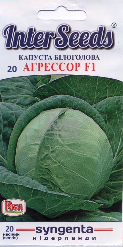 Насіння Капуста Агрессор F1, 20 шт, Syngenta Seeds B.V., Нідерланди